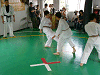 tya2k (122)_samu.gif